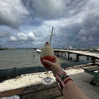 Fresh and vegan piña colada  at Barefoot Caribe in Caye Caulker