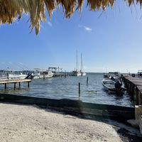   at Barefoot Caribe in Caye Caulker