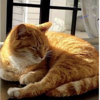  at Nourish'd Café Green Point in Cape Town