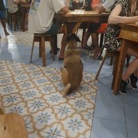  at Kurvada in Siargao