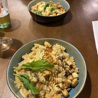   at Lutra Lutra Bar in Tbilisi