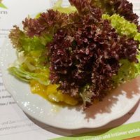 Beilagensalat auf Wunsch vegan  at Landgasthof Zum Stern in Buehlertann