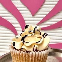   at Irresistible Cupcakes in Fairfax