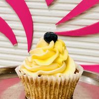   at Irresistible Cupcakes in Fairfax