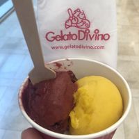 Berry and mango sorbet   at Gelato Divino - Yas Mall in Abu Dhabi