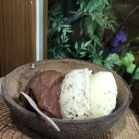 Chocolate, Pistachio, and Lilikoi ice creams at Coconut Glen's - Minami-Ikebukuro in Tokyo
