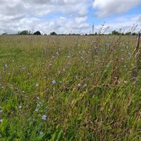  at FarmED in Chipping Norton