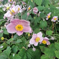  at FarmED in Chipping Norton