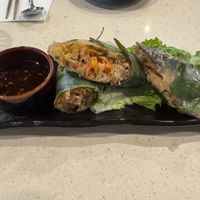 Crispy Summer Roll at The Hestia Veggie in Vancouver