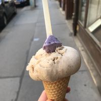 Zimt Haferflocke at Veganista Ice Cream I in Vienna