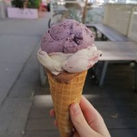 Chocolate, black forrest, and lavender scoops at Veganista Ice Cream I in Vienna