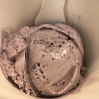 Lavender   at Veganista Ice Cream I in Vienna