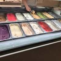 All the flavors at Veganista Ice Cream I in Vienna