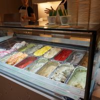 Variety of flavors, all vegan, made with soy, oat or rice milk. at Veganista Ice Cream I in Vienna