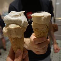 Maple pecan with vanilla, and maple pecan with oat cinnamon at Veganista Ice Cream I in Vienna