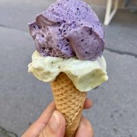 Blackberry and basil 🌱 at Veganista Ice Cream I in Vienna