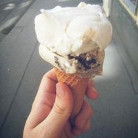 Coconut/cookie at Veganista Ice Cream I in Vienna