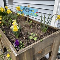Cute area to eat outside   at White Heron Tea & Coffee in Eliot