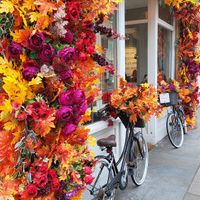 Outside of the chestnut bakery at Chestnut Bakery in South West London