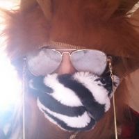  at Pip & Oat in Llandudno