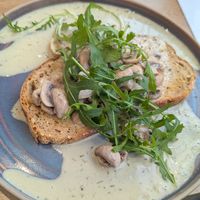  at Pip & Oat in Llandudno