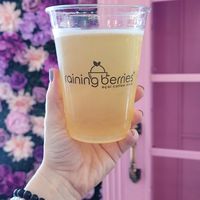 Kombutcha at Raining Berries in St Petersburg