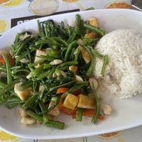 Morning Glory, Cashews and Tofu with Rice  at Number 9 Restaurant in Chiang Mai