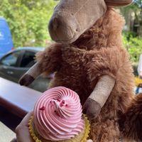 Raspberry and lemon cupcake   at Alma's Ethical Cakes & Bakes in Hebden Bridge