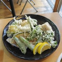Very light battered tempura (no egg ofc) at Kasu Udon Ebisuya 2 Go-Shop in Osaka
