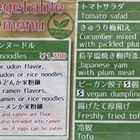 Veggie noodles and sides at Kasu Udon Ebisuya 2 Go-Shop in Osaka