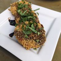 Fried Pink Tomatoes! at Sal's Ballyhoo's in Key Largo