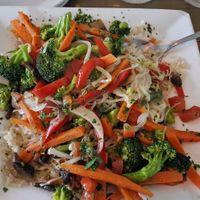   at Sal's Ballyhoo's in Key Largo