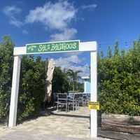   at Sal's Ballyhoo's in Key Largo