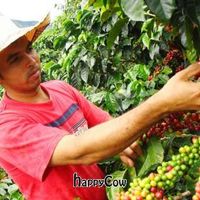 Our coffee coming from the organic farm at Madal Cafe in Budapest