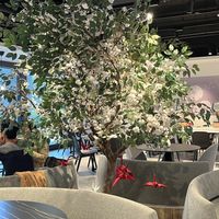   at Dandelion 常不輕 關渡店 in Taipei