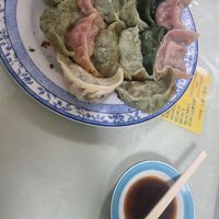   at Senjo Handmade Gyoza Shop in Tokyo