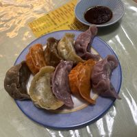   at Senjo Handmade Gyoza Shop in Tokyo