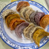   at Senjo Handmade Gyoza Shop in Tokyo