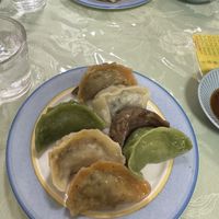   at Senjo Handmade Gyoza Shop in Tokyo