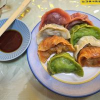 Vegan dumplings at Senjo Handmade Gyoza Shop in Tokyo