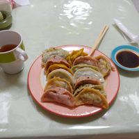 Gyoza lunch (can choose number) at Senjo Handmade Gyoza Shop in Tokyo