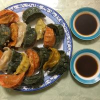 20 mixed vegan dumplings  at Senjo Handmade Gyoza Shop in Tokyo