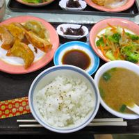 Vegan set lunch at Senjo Handmade Gyoza Shop in Tokyo