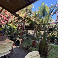   at Fruitfull in Chiang Mai