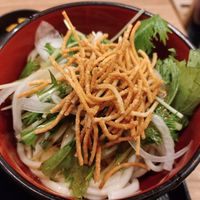 Udon side salad at Kyoto Soba-Morihei in Kyoto