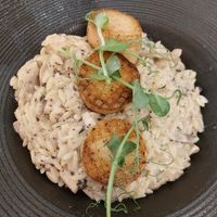 Black Truffle Wild Mushroom and Vegan Scallop with Orzotto 黑松露野菌素帶子米型意粉 (Contains egg/milk) at Café Influffy - 毛所樹樹 in Kowloon