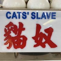 Indeed    at Café Influffy - 毛所樹樹 in Kowloon