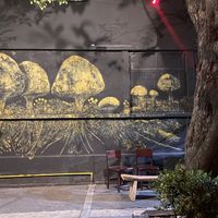  at Los Loosers in Mexico City