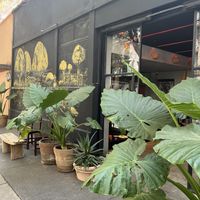   at Los Loosers in Mexico City