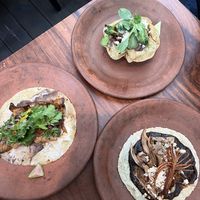   at Los Loosers in Mexico City